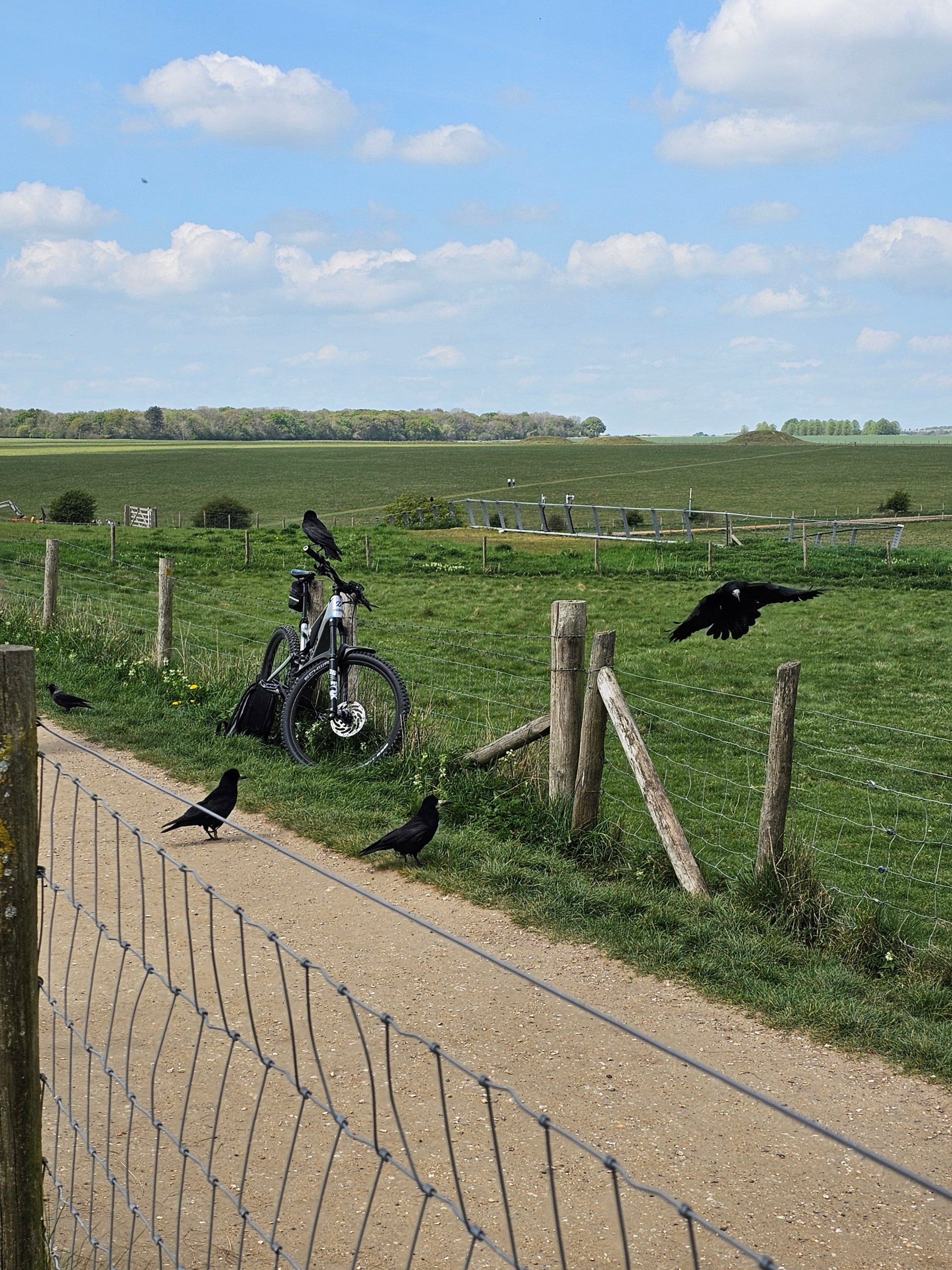 On Belonging and Starting Over